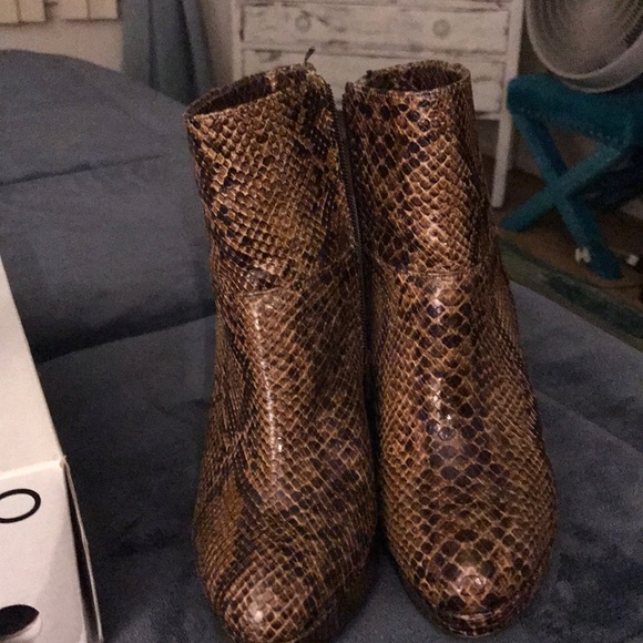 H&amp;M Shoes Snakeskin Booties Poshmark